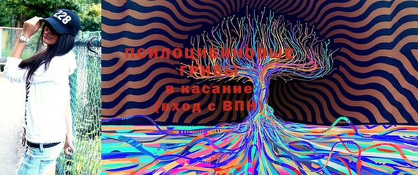 амф Арсеньев