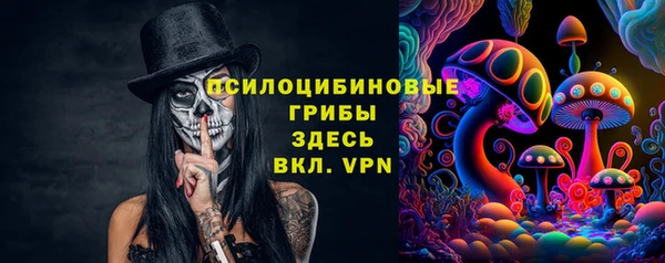 амф Арсеньев