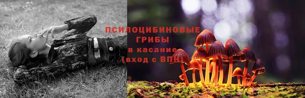таблы Армянск