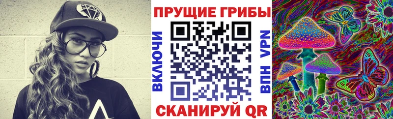 Псилоцибиновые грибы Psilocybine cubensis  Порхов 